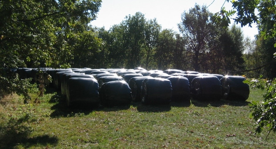 Latex Silage Nearby