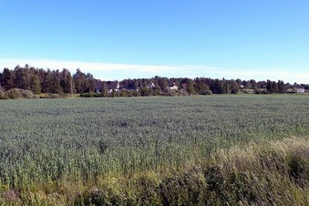 #1: The exact spot is about 200 meters into this field.  This photo is looking directly south.