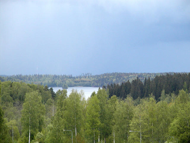 Local lake area.
