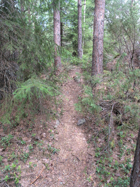 A very narrow trail passes within 10 m of the point