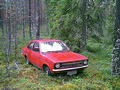 #6: The old car hiding in middle of the forest.