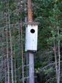 #5: Bird house, the inhabitants have a stunning view to the lake.