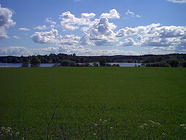 A view to the east towards the confluence.
