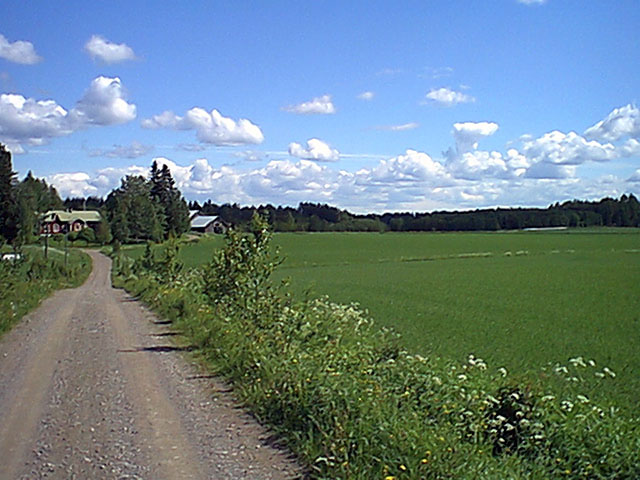 North, towards the farmhouse.