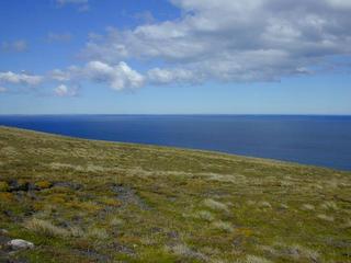 #1: How the confluence looks: a gentle mossy, grassy slope with the South Atlantic as a backdrop.  In the distance to the southeast Lafonia (East Falkland) is just barely visible on the horizon.