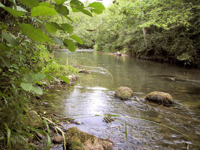 The Cernon stream nearby