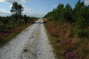 #9: The road next to the confluence point