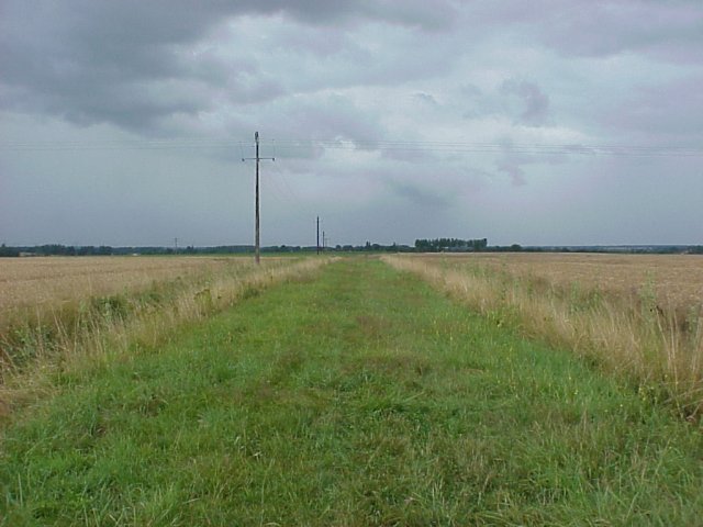 Looking south