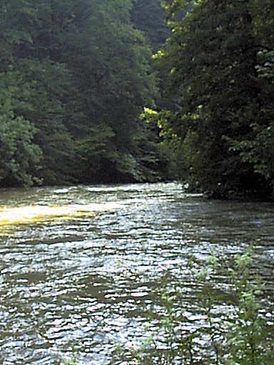 The river Lison 300 Meters NE of Confluence - Looking West