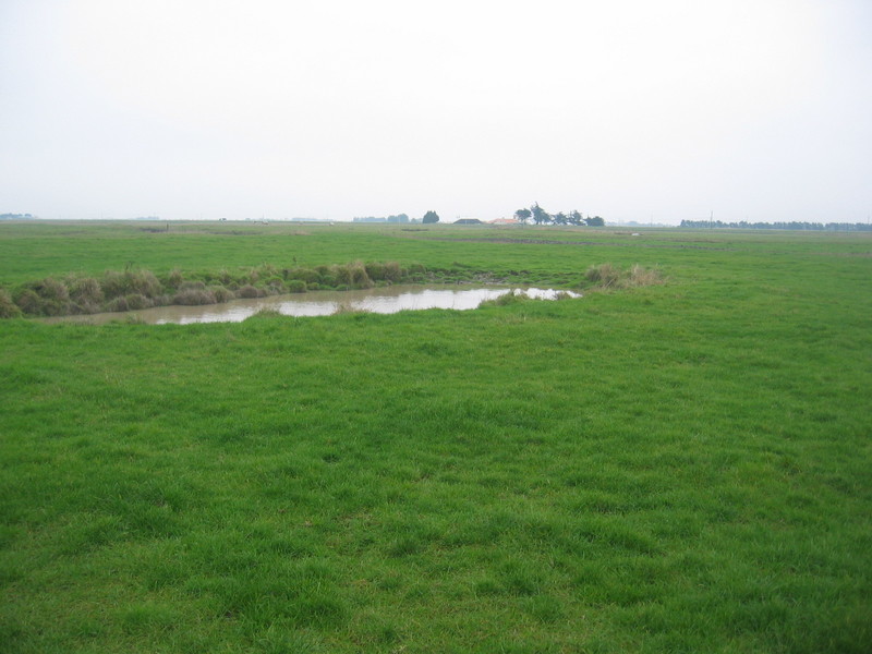 The Confluence from 20 m