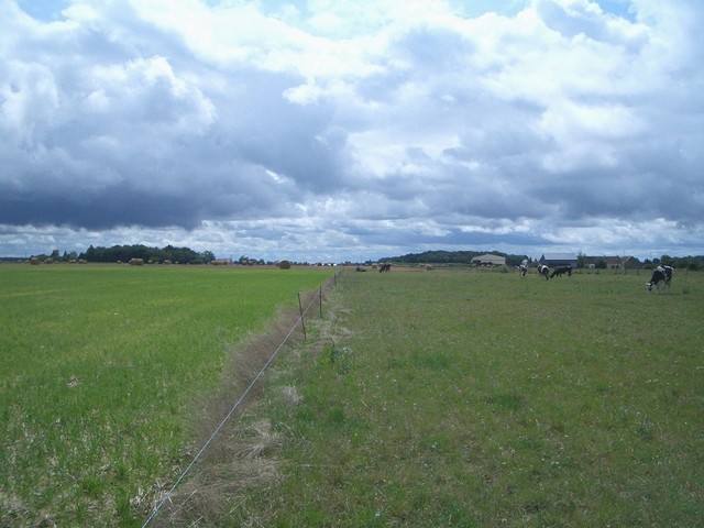 Looking South