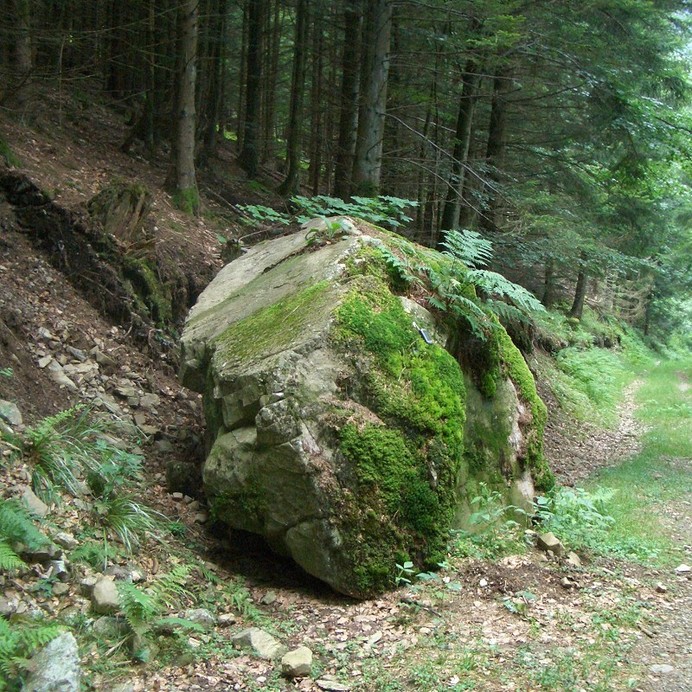 The confluence of 48° North and 7° East marked by a boulder?