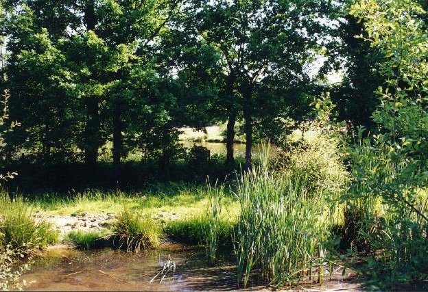 Ponds to the south