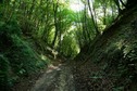 #9: The path climbing from Bayonville to the confluence