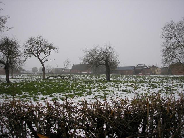 The field and a farm on the background