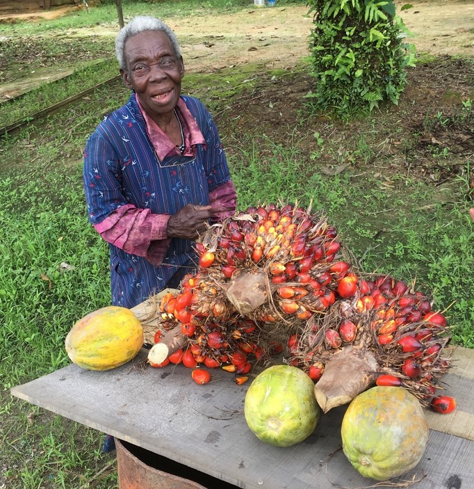 Lady selling papaya and oil palm seeds