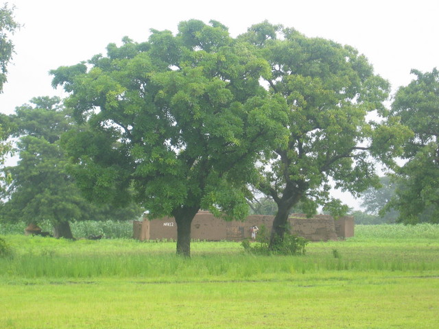 House that can be seen from the confluence point
