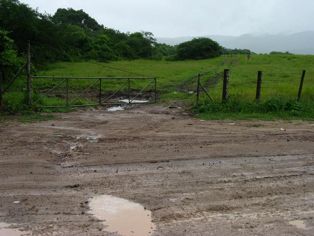 Muddy entrance to the field, 200 meters from the confluence