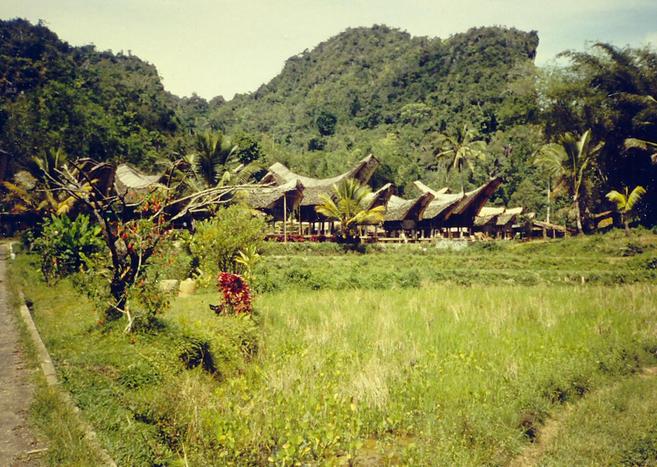 Village with typical Toraja houses