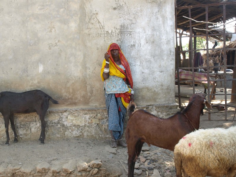 Confluence's Nearest Neighbor: A Woman & Her Goats