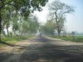 #5: The road from Hapur to Aligarh -- tree-lined boulevard of potholes