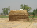 #5: Haystack in the field near the CP