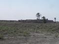 #9: Nearby farmhouse located 500 meters NNE of the confluence point