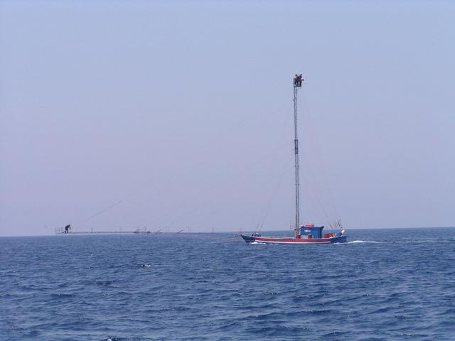 Thunfischboot / Tuna Fishingvessel