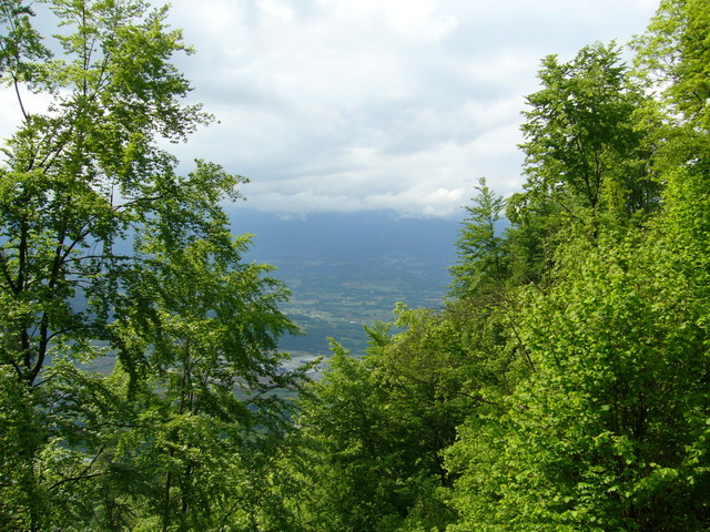 View north: Piave valley