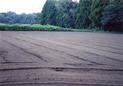 #6: A newly-plowed field
