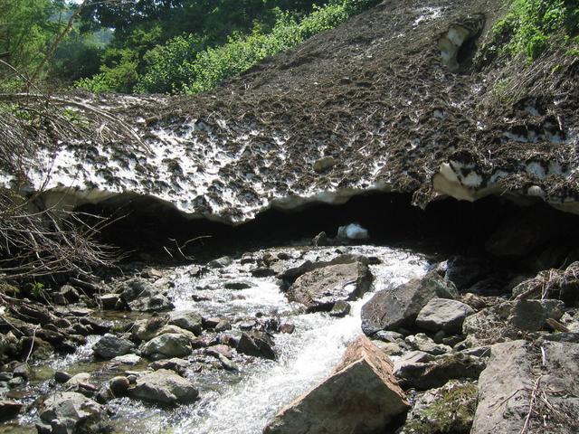 Snow in summer?!  Stream carves a cave through one of winter's avalanches.