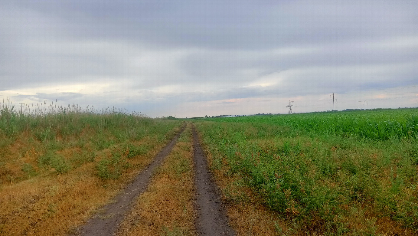 Field dirt road
