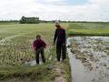 #4: Finally paddy fields (east) with farmers