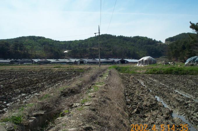 Looking west; you can see several barns at the end of the rice field.