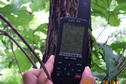 #5: Fixing the GPS on a tree; the coordinates are visible.