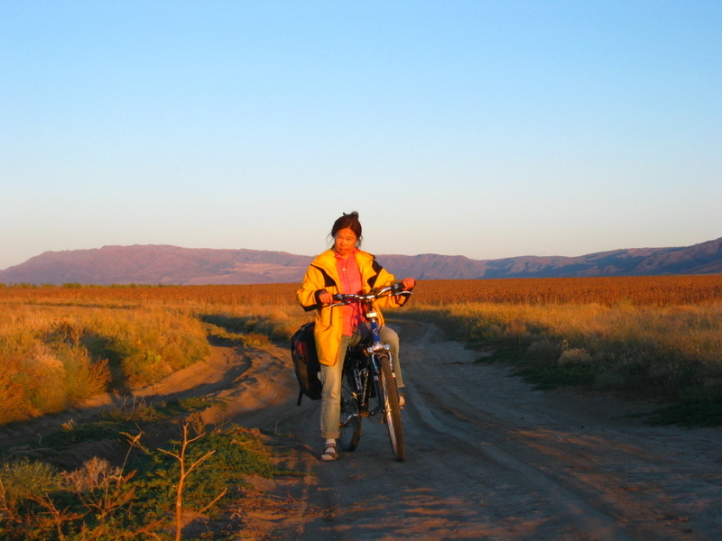Elionora Riding at Sunset