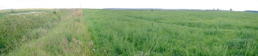 #1: Panoramic view from the confluence of N56 E024 in Lithuania.