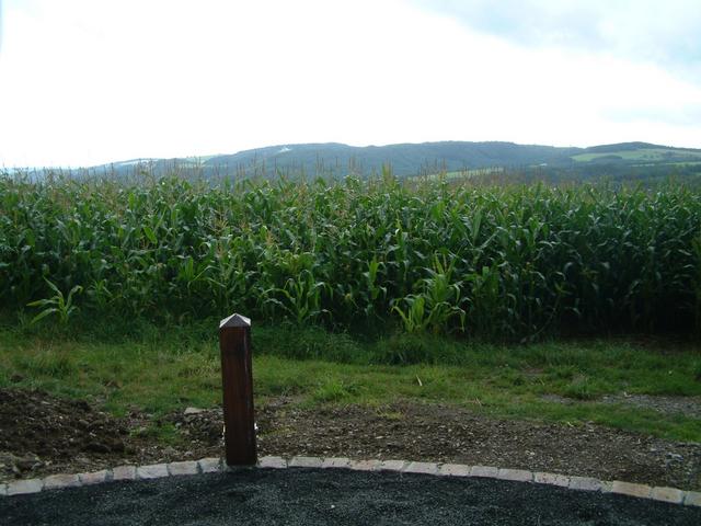 View South (Hasn't the maize grown fast!)