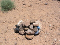 #8: Cairn at site