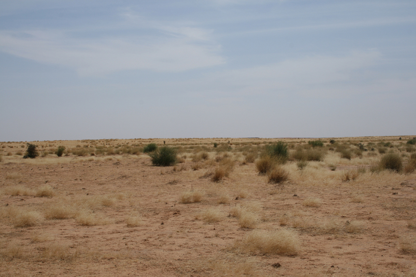 Dunes in grassland north of the Niger