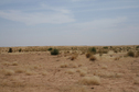 #7: Dunes in grassland north of the Niger