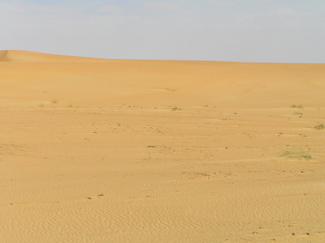 Looking north: dune