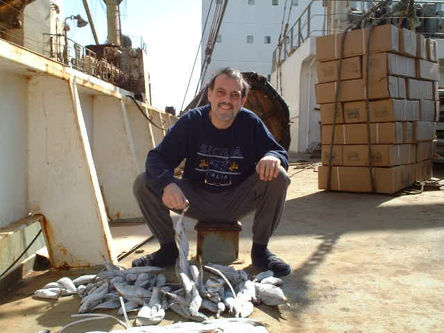 Captain Peter loading fish from a Russian trawler in direct transshipment