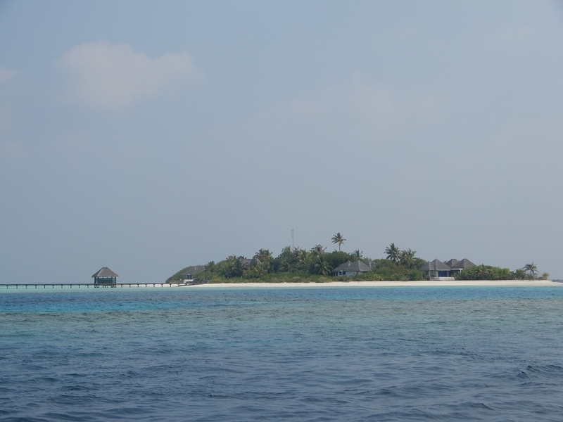 Maaga Island
