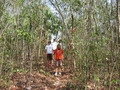 #2: at site within 10m