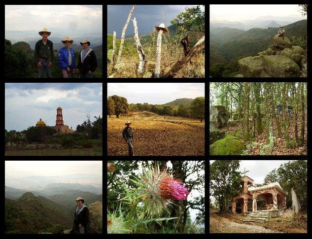 Collage: team, hat, Raul, Toliman, David, forest, Adriel, flower, chapel