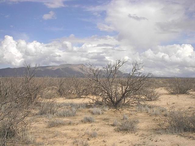 East View - Sierra La Amargosa.