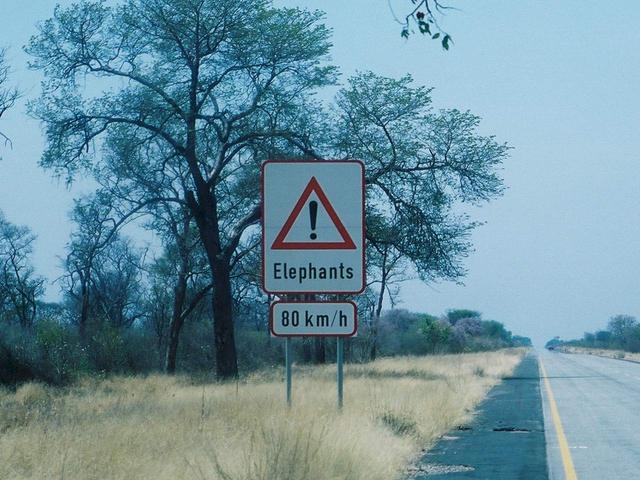Elephant warning sign