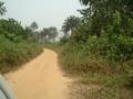 #5: Dirt road towards Confluence
