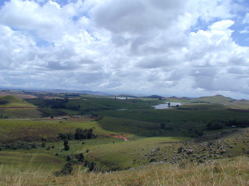 Mambilla Plateau after the rains